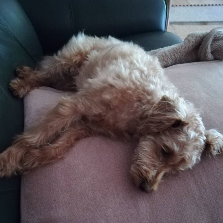 37634bfa 9263 4846 bc19 b4f58e1a6857 1559259634467