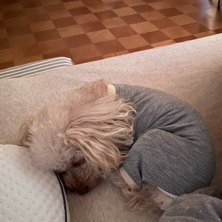 37635c51 e8c3 41c2 b22c e727527e55ab 1619911836164