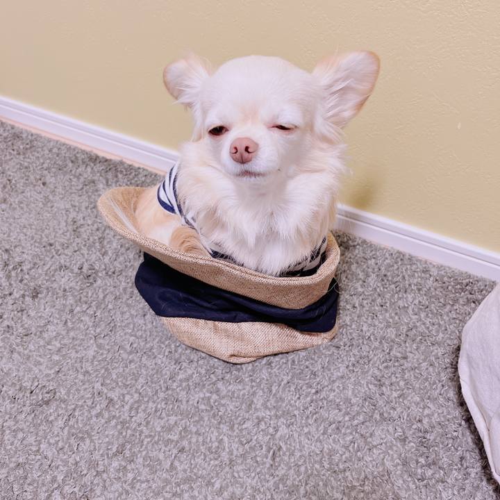 37636522 a22d 4c21 95e2 8157c3576ccc 1682420995109