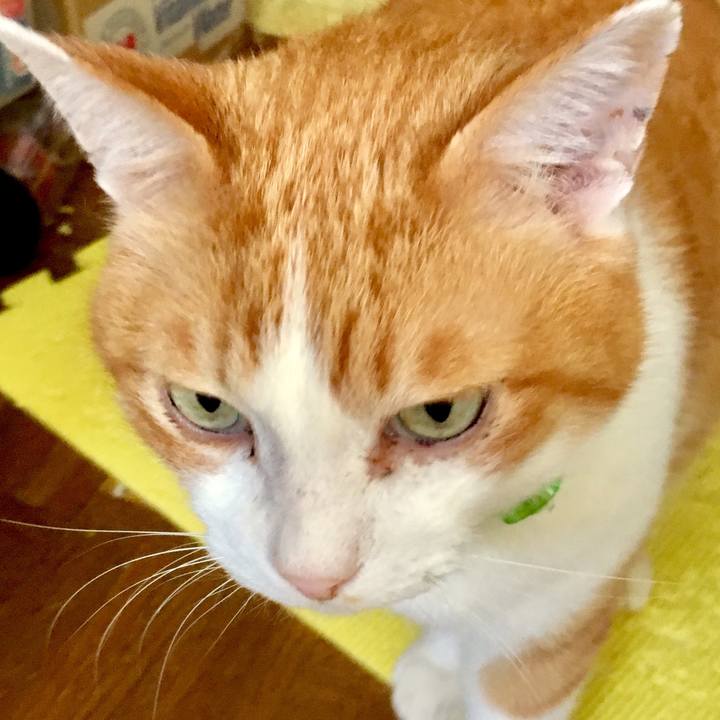 3763be03 b2f4 46a5 aa4e 6967a9b83f1d 1556833794210