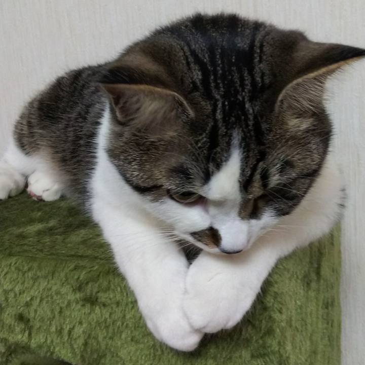 3763c0de 8989 488c a296 bbfce63ba64f 1620471359111