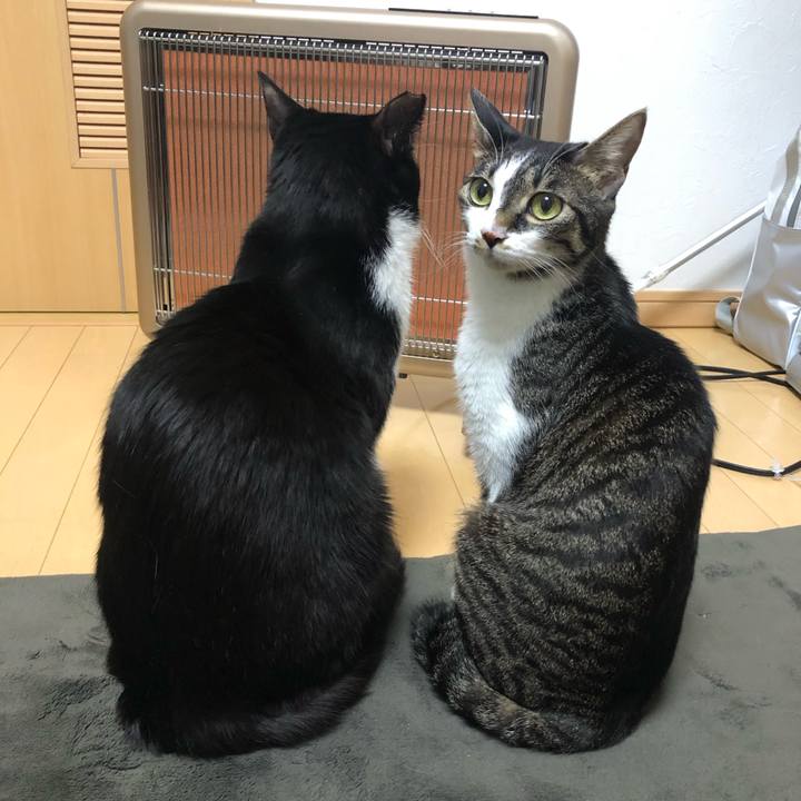 3763da55 ce75 436d 9ab2 bf00f252a04b 1551125915220