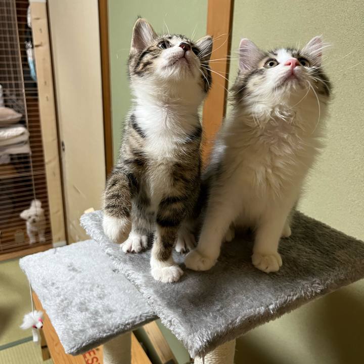 3763f40d 08cd 4cdd afa1 157c36504e9d 1688605402544