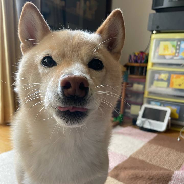 3763f6e1 2b49 40ae 8145 fb31a78d454d 1668656604514