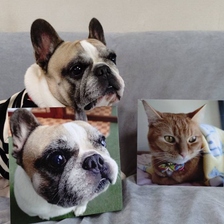 3763f958 3e00 4e4d 8608 6274fb3260bb 1768181252053