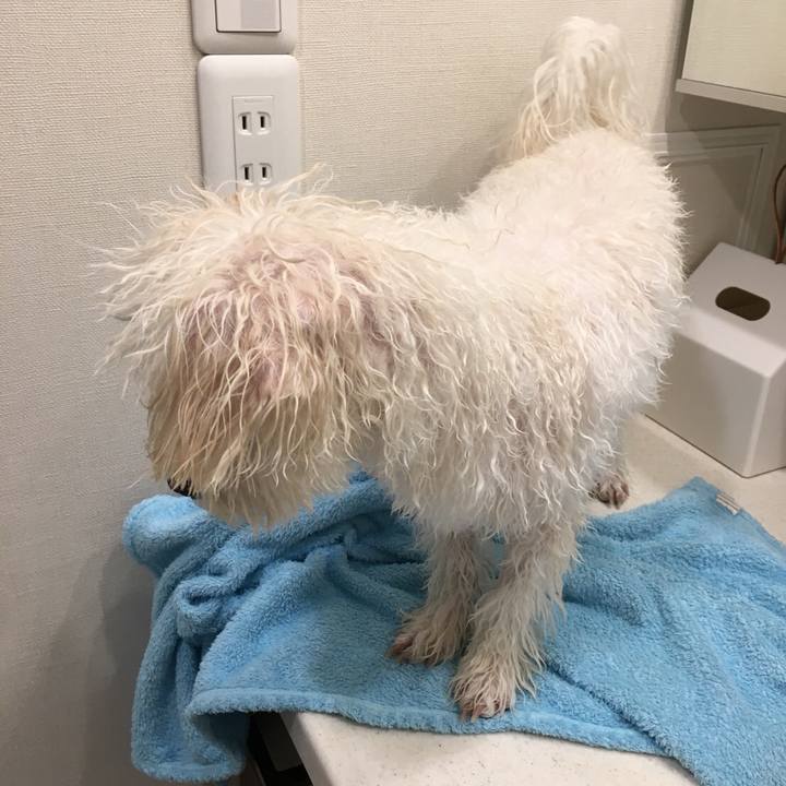 3764550c fcb3 468b afd7 2c99649c30ca 1545980933376