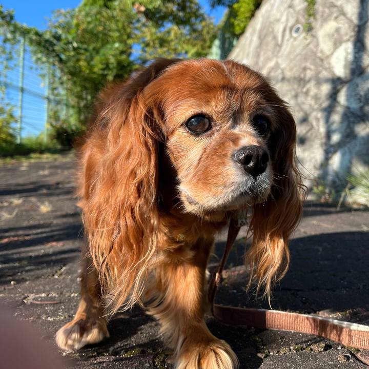 376471b7 c067 4cf4 bbdc 5454bc83045f 1728692312682