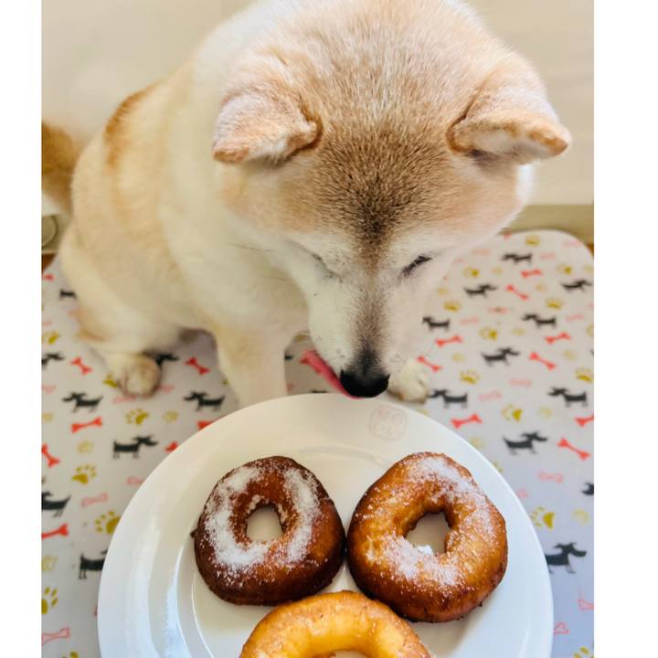 3764b284 1164 4277 9325 78b96872cd63 1737346631468