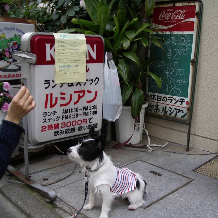 3764b4ad 53e3 4d07 91f9 92ee0e90a18e 1528717445479