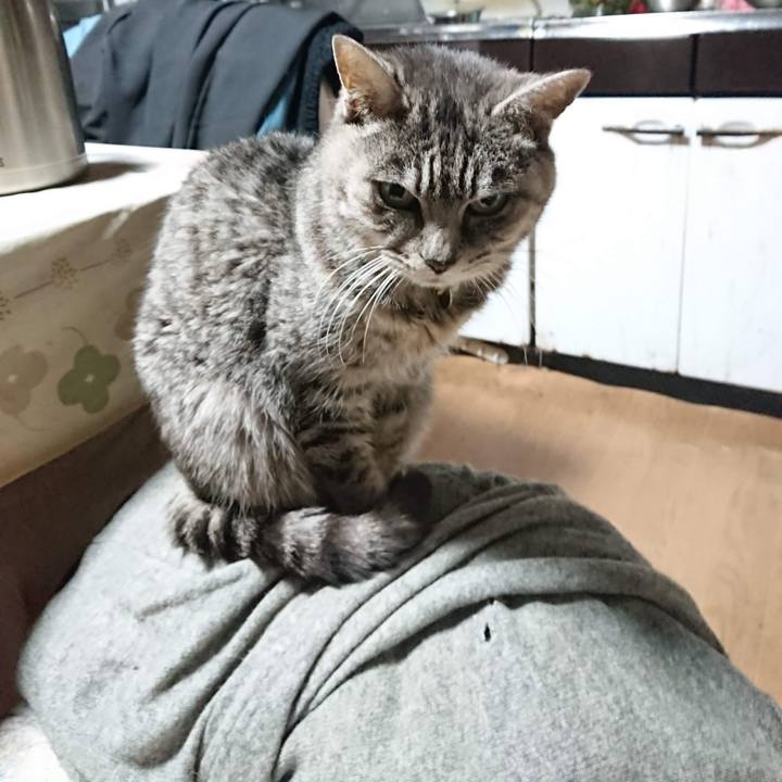 3764c21c 4a7a 41ce 8cc8 84615cc738ec 1607287285061