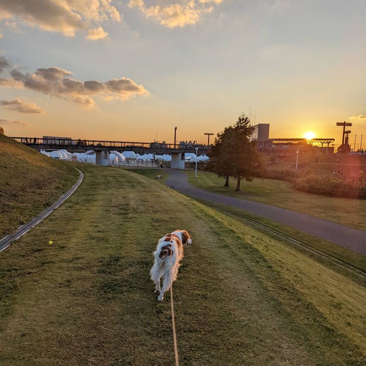 3764c94c 1aed 4e49 b65a 2a11a29ee0d7 1667381048459