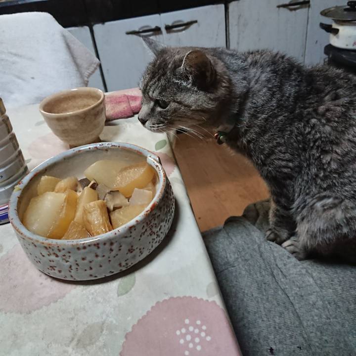 3764d4f8 e351 45d8 b086 e0cf472c284e 1574248871477