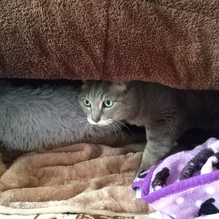 37651952 fd3f 4958 b4bf 115777d4d061 1607836059976