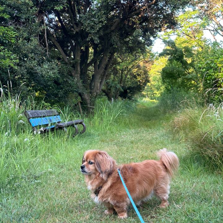 37651fcd 8b2b 4214 a41c 14c3dad14698 1718052676642