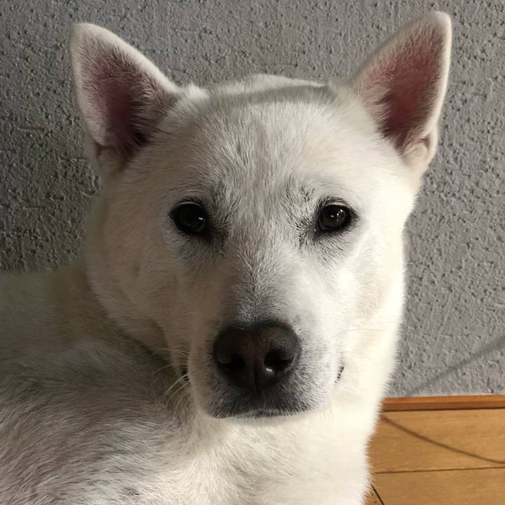 376539bc 04fd 466b a9f9 b569424ff14a 1559262597891