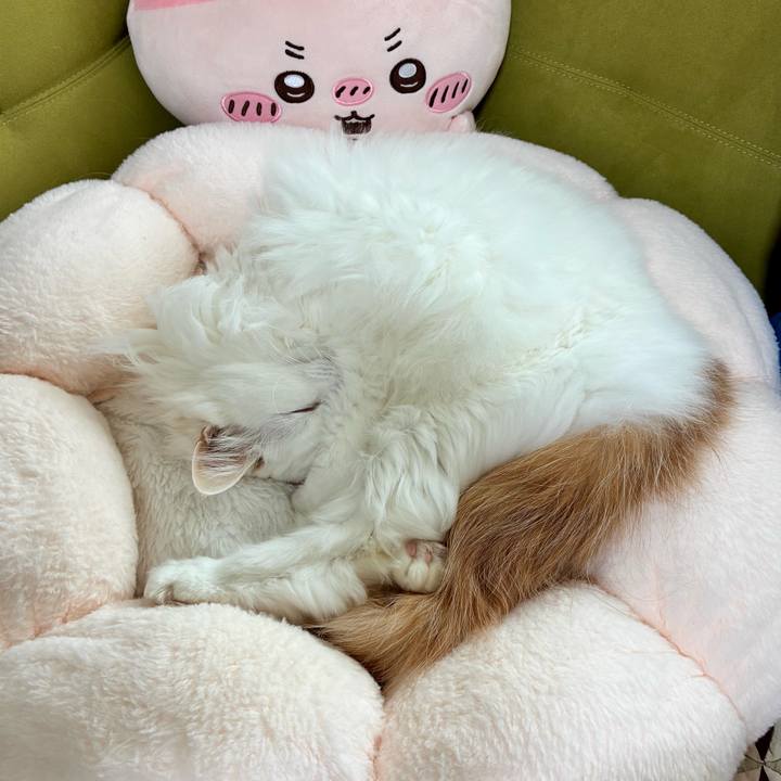 376548d1 bcde 4cbc a7e5 4a27d1a67554 1773891442589