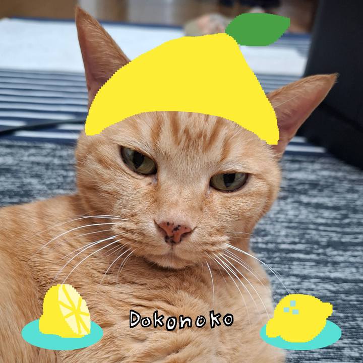 376556ef 2789 4ea3 8342 91874dc64700 1741493702350