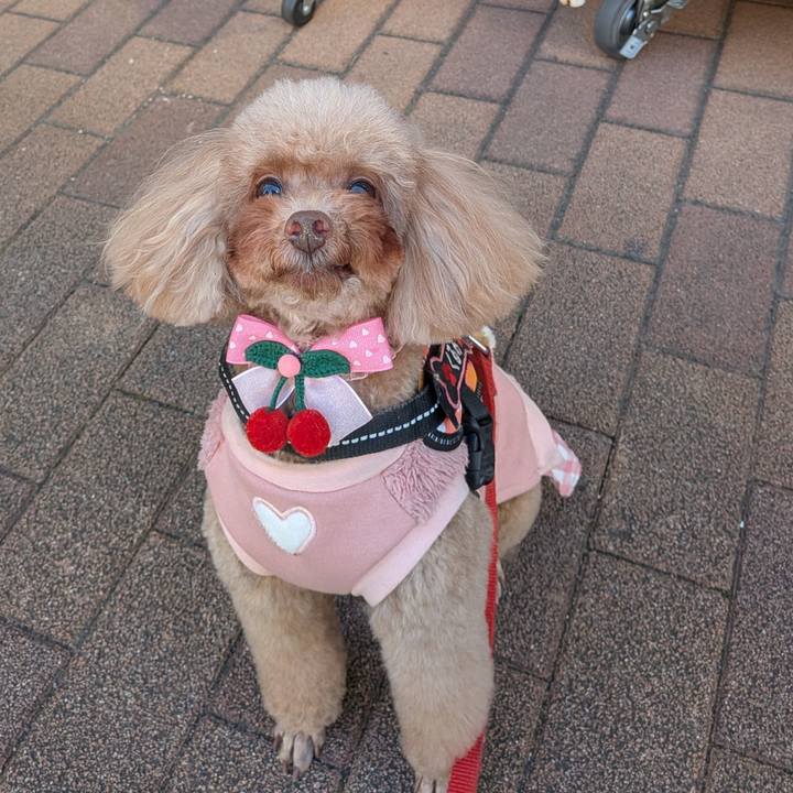 37655f5e 7bbe 419f 8e45 dba8b2186b53 1769872585645