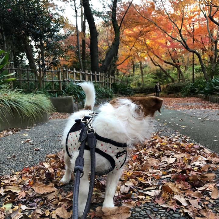 376572da 77ec 4308 aea7 949848254e0a 1545637542935