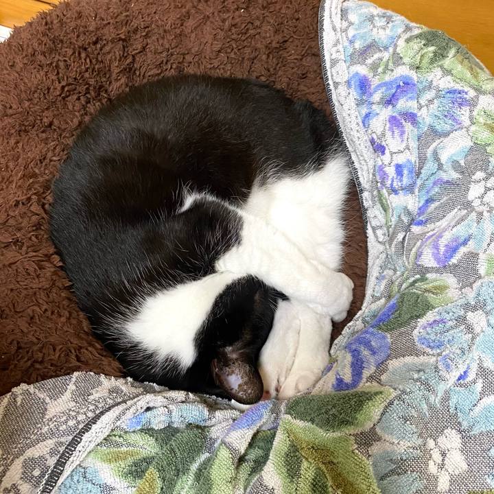 37658ee2 5d1f 4484 8bc8 2b064f2b41c0 1618483786739