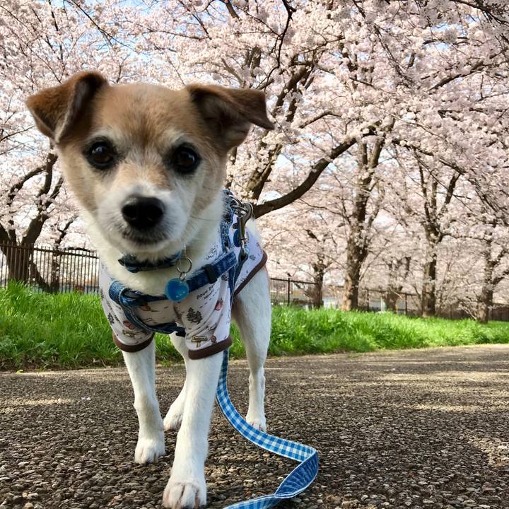 376592d6 a054 4aeb 9672 54eaef4af6f7 1648697164013