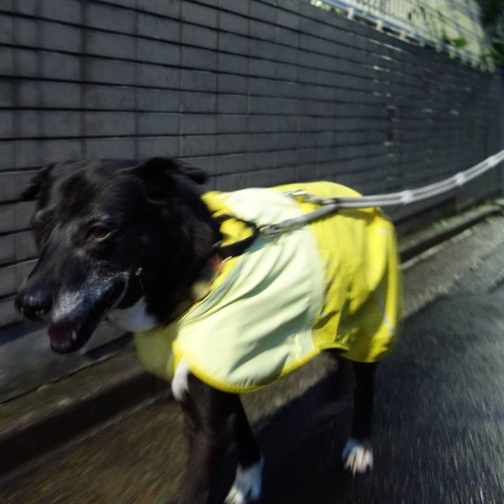 3765e2ac 94ac 4e9a a1d2 aaa624b877e8 1749897061192