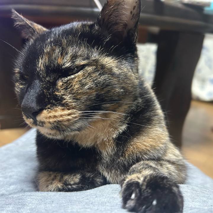 3765e7e3 e58e 46c9 b066 2082b4bbfe9f 1774836296479