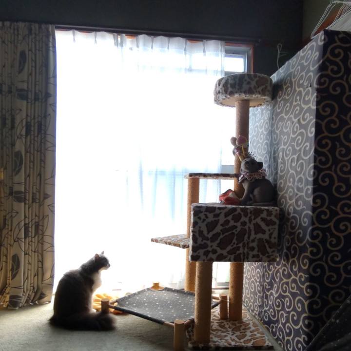 37660d9e 3c8c 4630 ba56 1ef1b5775645 1692512483836