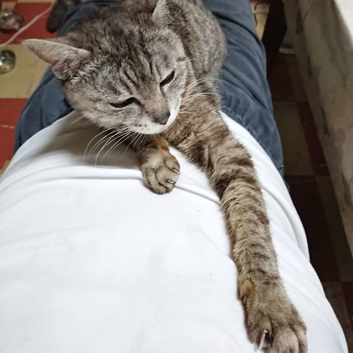 376616c9 23d6 4b72 8665 0f23fa0ec535 1561260685025