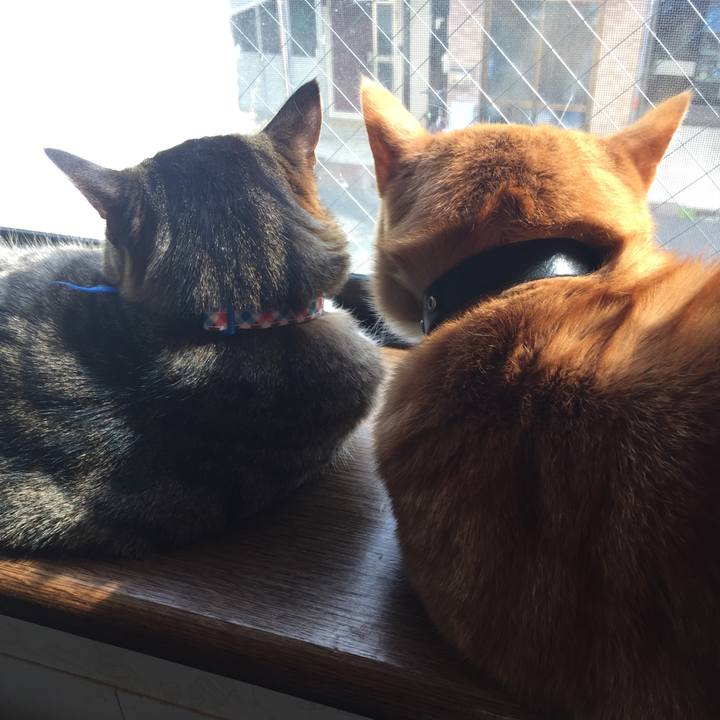 37662071 2c93 4fce 8485 e2bc5e30bcb0 1554010704426