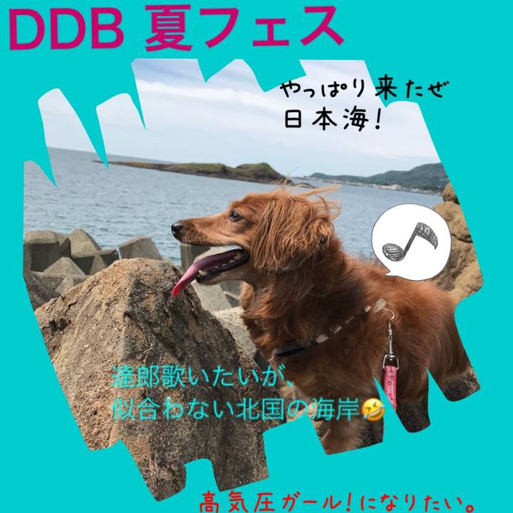 3766694f 52cd 4b82 b83a 39eab4d1a53b 1534072691805