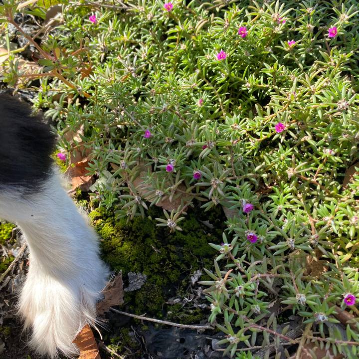 376671bf c404 4b9c 877c e85839ad1cb9 1632013557293