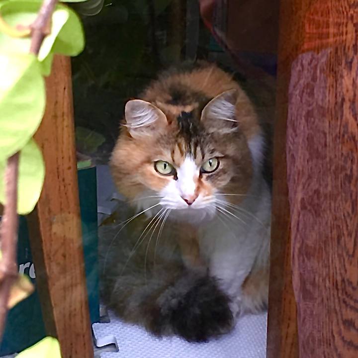 37669f22 b960 48eb 8fd4 632c33be7e12 1594191296715