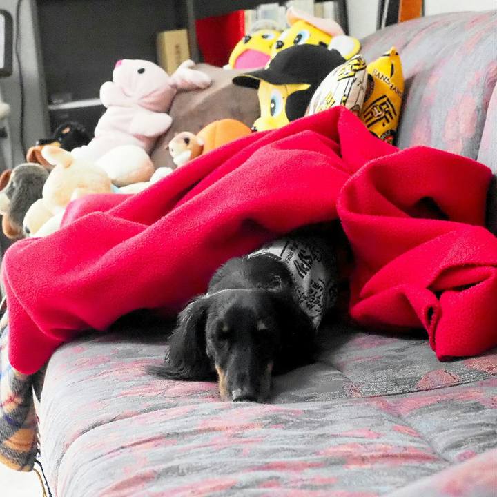 3766a3d1 260a 44aa 8dd4 f38a9020c4e0 1544405136632