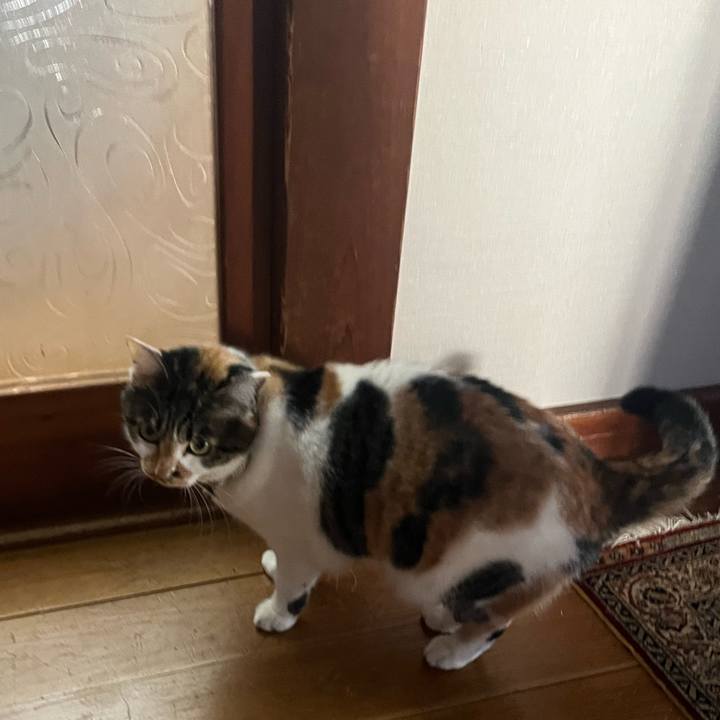 3767032b d5e9 49bb 8011 f6753dd4de80 1767849803064