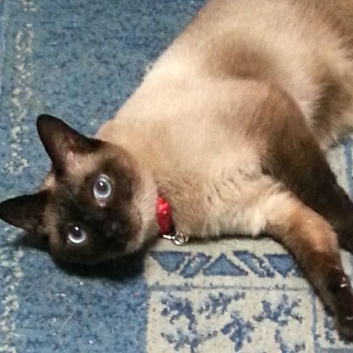 37670525 64e3 4547 89a9 c0e17646c86b 1552311048512