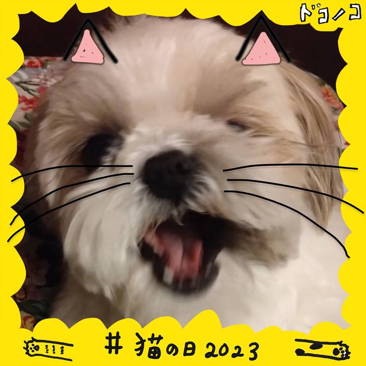 37671b2c 290b 4a1f 941b 76da50399286 1677022462013