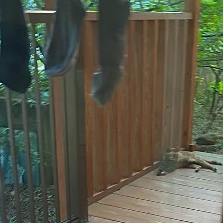 376726e3 23e6 4a1b a41a 34c2a84d1cf9 1751708009414