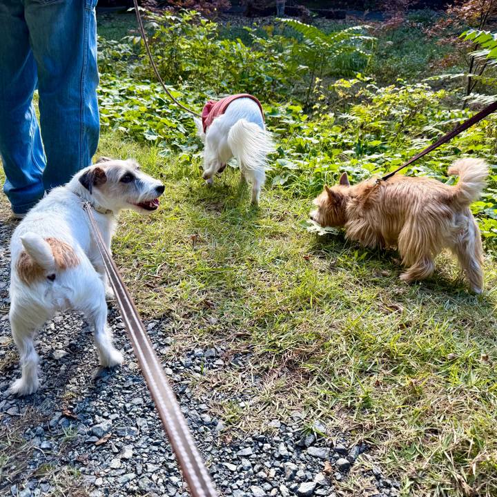 37673c08 e2d8 467f 96e1 b68120f09cf3 1761410045084