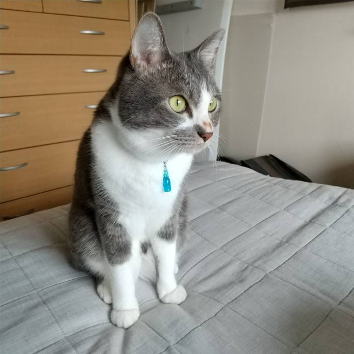 37676e72 1ff9 43ff ab58 6790eb5a57d8 1630801248896