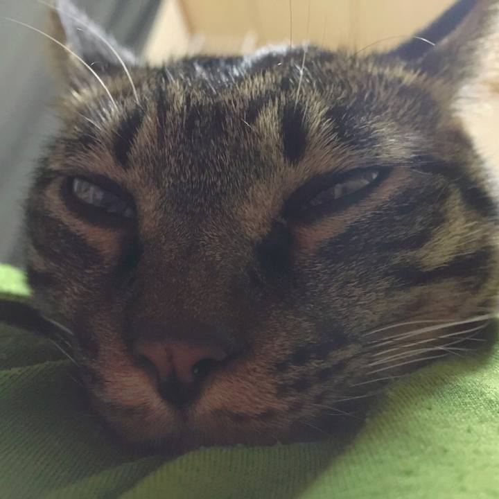 37677cce a48f 46fb 88b8 25e2f87b98c9 1568812714938