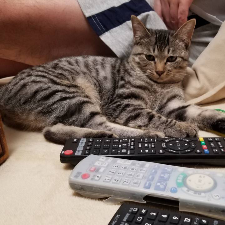 376793fb f32a 4c16 8854 15a93c63d8f8 1670602254905