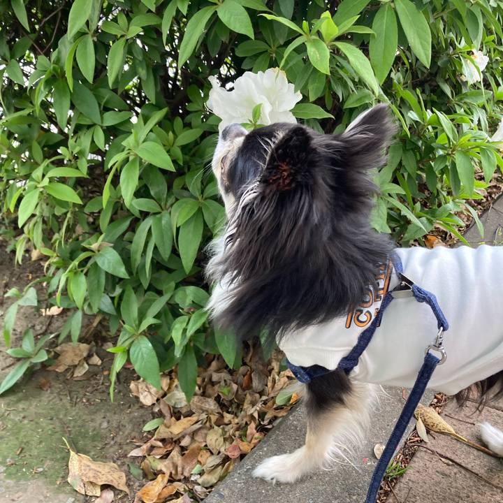 37679a66 86cc 49b6 995c 667ccd50702b 1681400417348