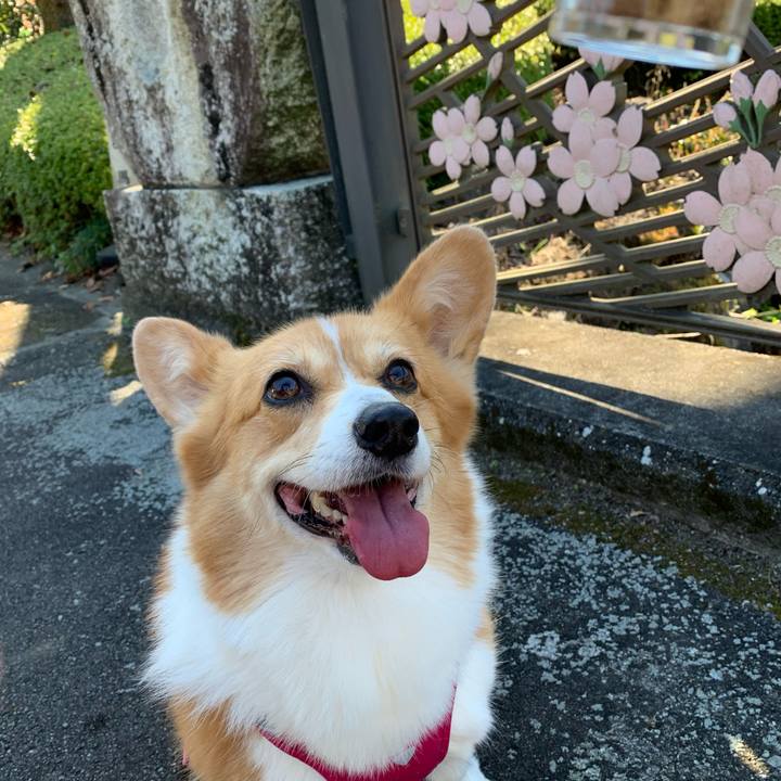 37679a8f 421a 46ba 8ec1 76bc42443979 1636077807403