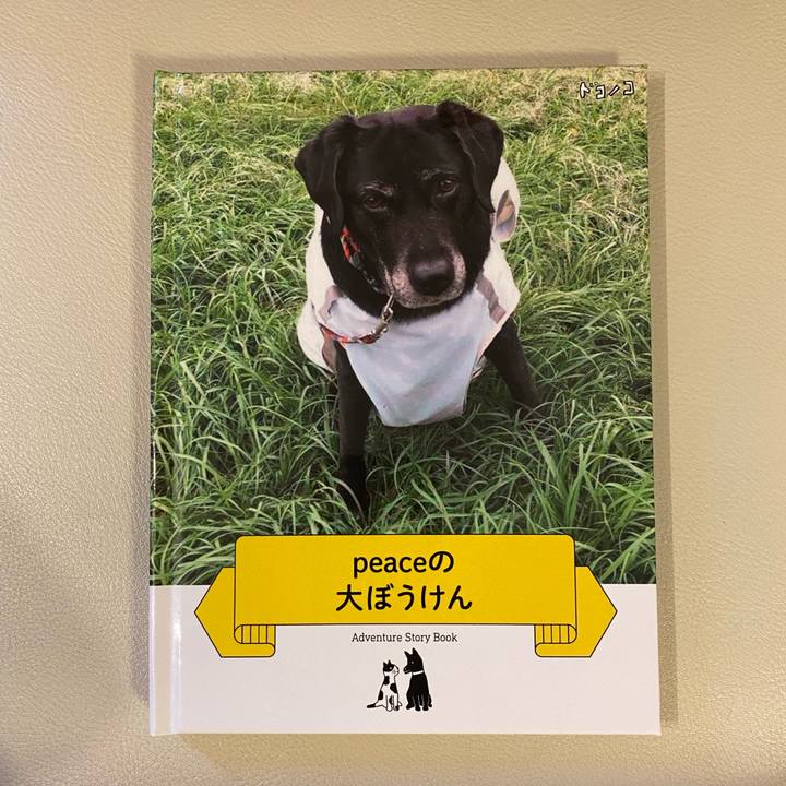 3767a52e 2440 4358 9542 4fc9f0a2de26 1632542619328