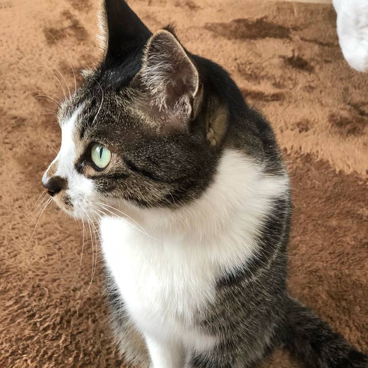 3767deaa 33d9 4588 8eb9 9ab0bfd65034 1519274170532