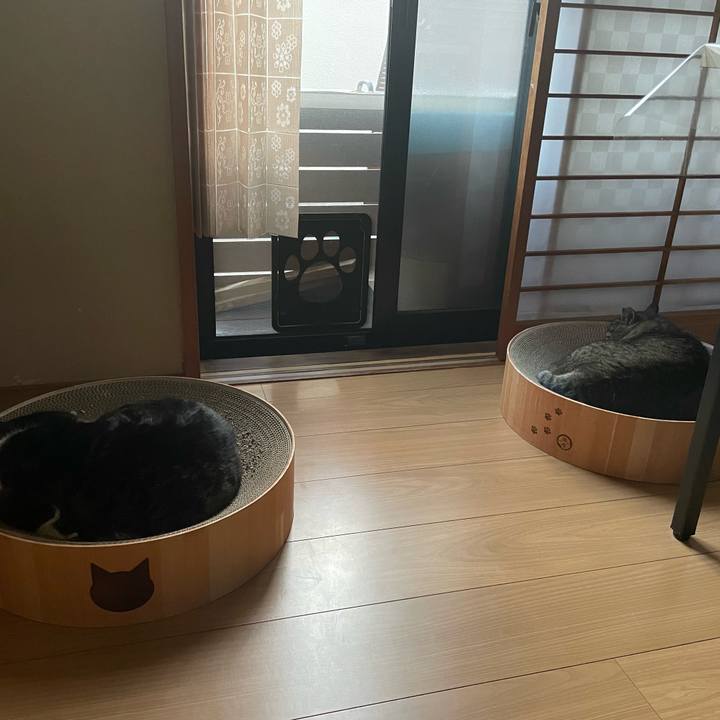 3767e1ab 15f7 4756 a133 ece13e938a32 1651744589928