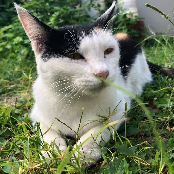 37682a54 b777 4c71 8b34 f7ddbf515ae3 1598824833896