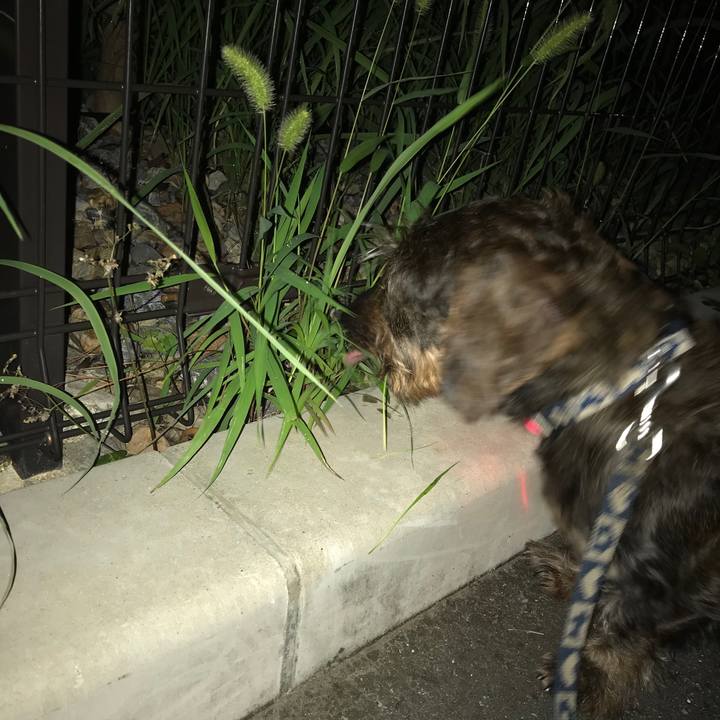 376847a3 b527 4821 8060 61875d79644c 1531318242466