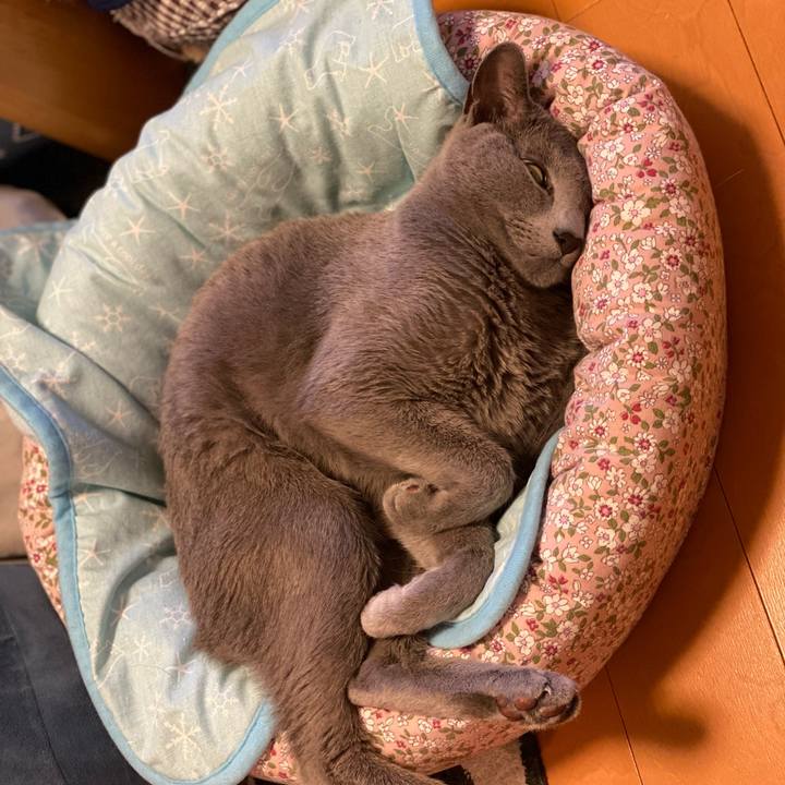 37684b7f 7102 4332 91e5 dcadc2e2578a 1689816302810